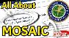 Faa Proposed Mosaic A Game Changer For General Aviation